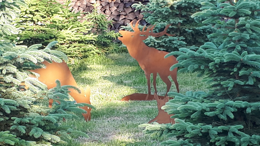 Stellplatz für Wohnmobile